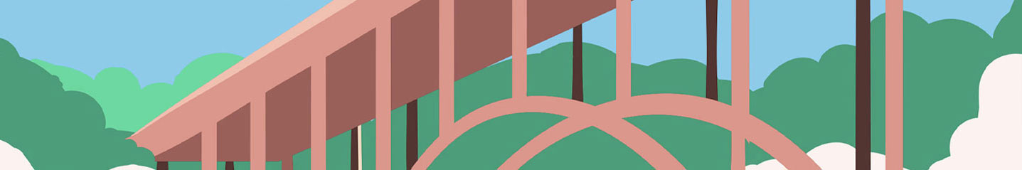 DMV Banner